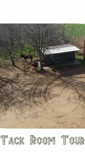 14K views · 310 reactions | Tack room tour at @radiatorranch | Rodeo Time | Facebook