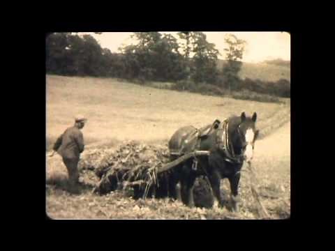 Farming Footage 1920`s / 1930`s - 16mm black & white cine film - HD 3 - The Cine Film Factory