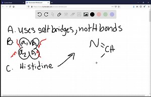 SOLVED:The primary structure of the hemoglobin molecule is: a. the heme group b. two αand βtwo chains c. the folding sequence d. the amino acid sequence e. the globin portion
