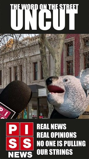 Puppets In Silly Situations - Voxpops 2