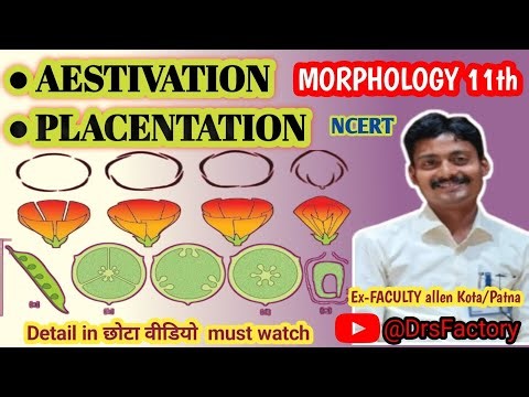 ! Aestivation! Placentation!! MORPHOLOGY 11th NEET BIOLOGY!! must watch , subscribe & share.