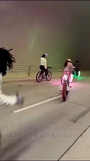 137K views · 4.9K reactions | Funny crazy people  #funnyreels #comedy #funnyvideos #indiacomedy #funny #usa #feed #funnymemes #viralreelschallenge | Father and Son page | Facebook