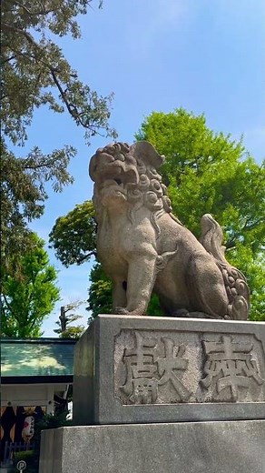 デカすぎる！？下神明天祖神社の「都内最大級の巨大狛犬」とその足元に漂う圧倒的な神気が凄すぎる。The Giant Guardians: Discovering the massive Komainu