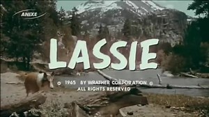 12K views · 369 reactions | lassie 1964 | Errinerungen an damals | Facebook