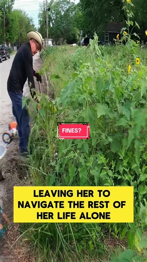 The City Fined This 76 Year Old, So We Did This 🥺 Free Lawn Care #community #satisfying #backyard #lawncare #elderly