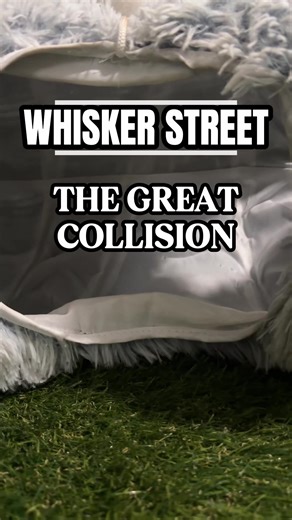 The Epic Collision of House Cats and Garage Cats