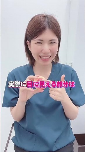 女性器の構造クリトリスについて