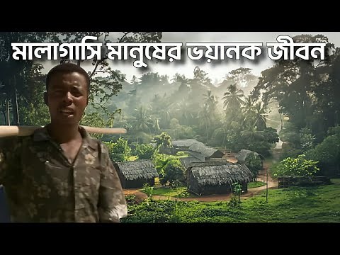 The terrible life of the Malagasy people living on the island of Madagascar | How did the wildlif...