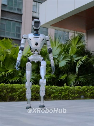 Exploring Real Autonomy in Humanoid Robots