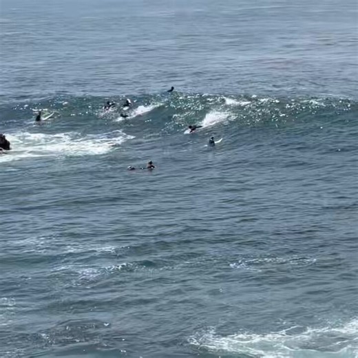 Surfing the king tide in Laguna Beach. Just another day getting humbled by the Pacific 🌊🏄‍♂️🌕 #KingTide #Surfing #LagunaBeach