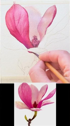 PAINT WITH ME - How to Paint Magnolia #loose #sketch #dailyart