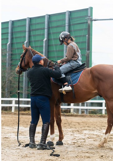 広島での初めての乗馬体験の魅力
