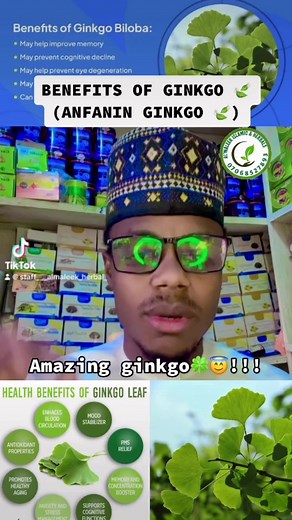 1.2K views | Amazing benefits of GINGKO BILOBA  #almaleekherbals #herbalmedicine #herbalremedies #plantmedicine #ginkgobiloba #Benefits #brainhealth #hypertension #calmness #reel #reelsviral #reelsfb #viral #Hausa | Almaleek Herbals | Facebook