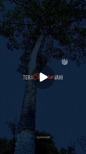 Vishal Jangid on Instagram: "Tera chera 梁….#love #reels #instagram #share #instalike #instadaily #explorepage #trendingsongs"