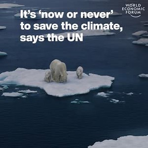 5.2K views · 159 reactions | We’re on course to double the global...