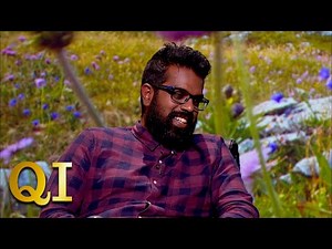Romesh's Incredible Yogi Bear Impression | QI