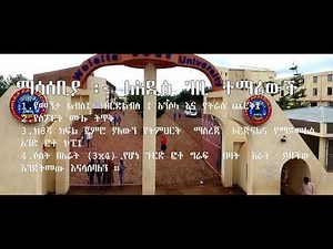 wolaita sodo university