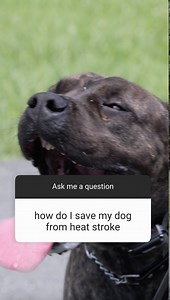 44K views · 683 reactions | In this short, we show how teaching your...