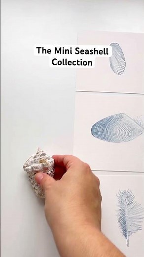 It all started as a single drawing of a seashell and it quickly escalated into an entire collection.