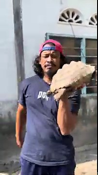 “How to Identify Male or Female African SulcataTortoise | Easy Guide”