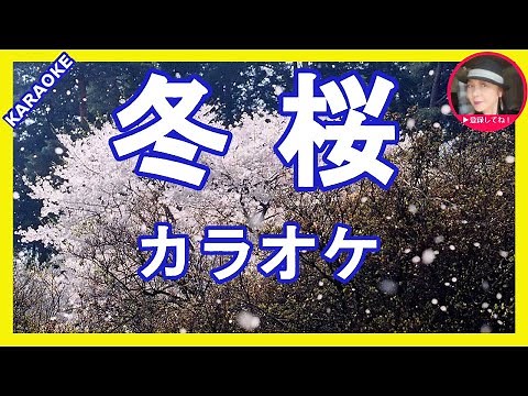 冬桜 湯原昌幸 カラオケ With Romaji KARAOKE