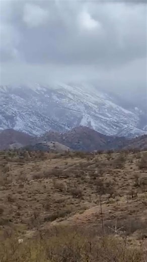 5 years ago about 30 miles north of Tucson near Oracle, Arizona at about 3500 feet elevation I think… getting a load of rock… | Jeffrey Wood