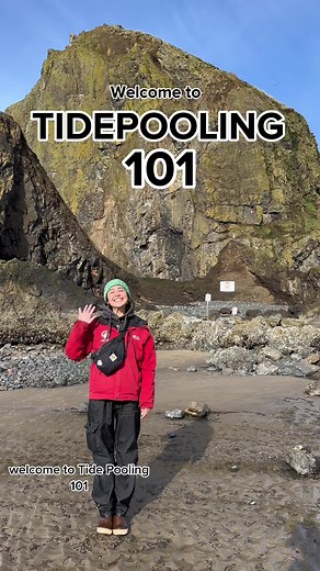 Welcome to tidepooling 101 ✨🐋 in pt 2 I will be showing the gear i use and what gear you should bring when tidepooling! #tidepooling #tidepools #marinebiology #pnwlife #coastalliving #fyp #cannonbeach #oregoncoast