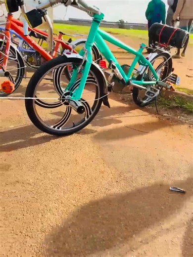 Understanding Team Dynamics: Respect and Fear in Teams