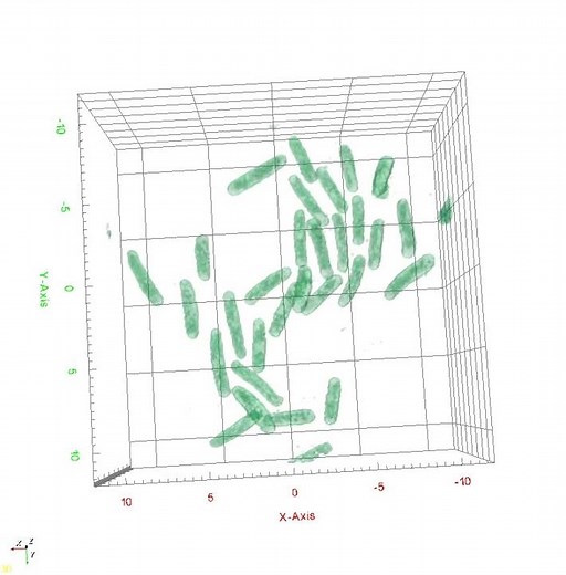 Growth of Bacteria: Bacillus subtilis