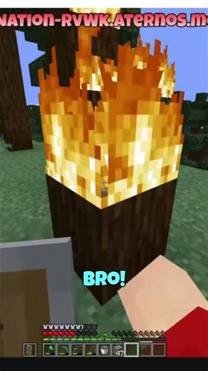 Who Started The Forest Fire Bro... 💀🔥