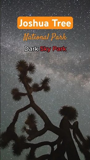 Stargazing at Joshua Tree National Park #darksky #stargazing #travel