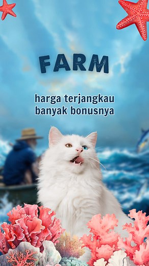 Salmon salmon salmon! siapa suka salmon!