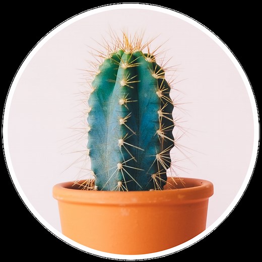 Divorce And Taxes: #1 TIP - Don't Give Good MONEY To CRA