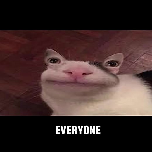 Ping Everyone on Discord with 730,000 Members