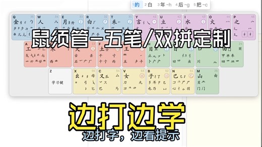 鼠须管(小狼毫)输入法实时06五笔/双拼提示版