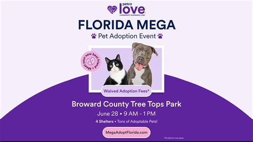 2025 Love Adoption Video