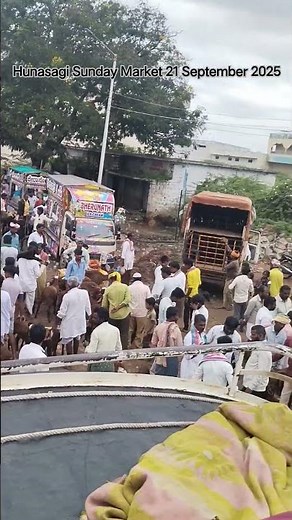 #HunasagiMarket #GoatMarket #BakriMandi #GoatPrices2025