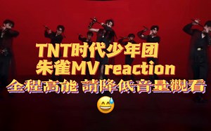 【全程高能 请降低音量观看】TNT时代少年团朱雀MV reaction 对不起我知道我很吵但是我忍不住
