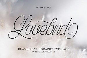 Lovebird - A Classic Calligraphy Font | Free Font Download