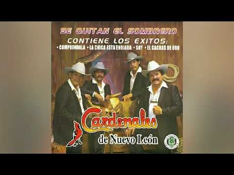 Los Cardenales De Nuevo Leon - Comprendala