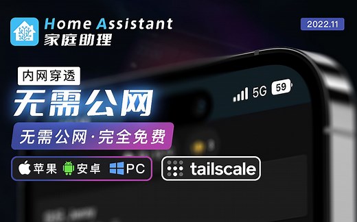 一分钟教你从外部访问家里的HomeAssistant 用Tailscale免费内网穿透 无需公网IP