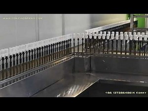 UV Painting Line Conveyor System and Load Unload Area