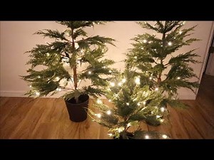 How Easy Is It To Set Up These Tiny Christmas Trees?