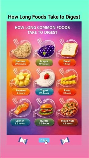 How Long Does Your Food Stay in Your Stomach? 🤯🍔#didyouknow #shortsfeed #shorts #usa