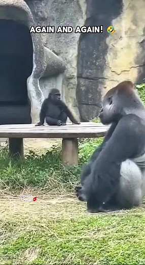 Monkey Mischief: Art and Game Highlights