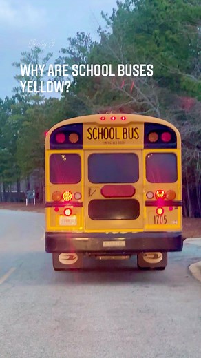 🚘 Why are school buses yellow? 🚌 #cars #cartips #schoolbus #schoolbussafety #driving #driving101 #drivinglessons #drivingtips #automobile #RoadSafety #roadsafetyawareness | Rolly Garcia