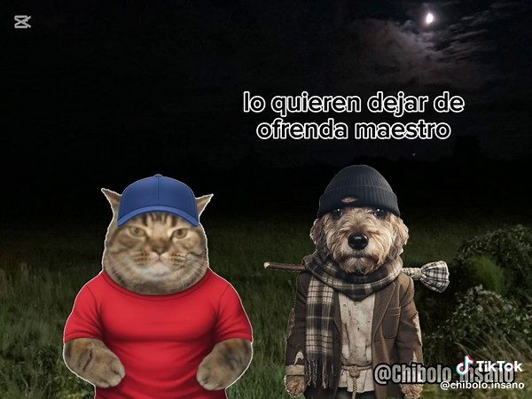 Sano tu causa 😹 PD: se les agradece mucho el apoyo que le dan a mis videos, espero seguir creciendo y traerlos contenido de mejor calidad, enserio muchas gracias 🫶🏼 #labebaarmy #chacalon #peru🇵🇪 #gaaaa #fyp