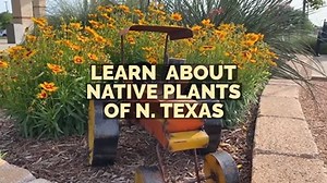 8.7K views · 99 reactions | City of Mansfield, Texas Municipal Government on Reels | Facebook