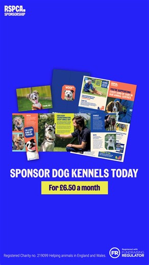 421 reactions · 48 shares | Help create more life-changing transformations for dogs like Jenny, by sponsoring dog kennels for £6.50 a month.  | RSPCA (England & Wales) | Facebook