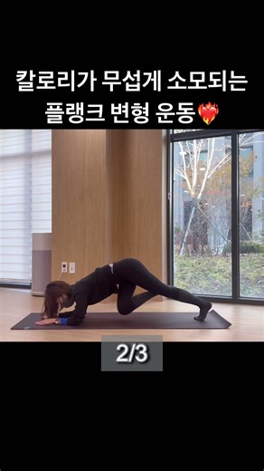 칼로리소모 최고!! 플랭크 변형운동❣️